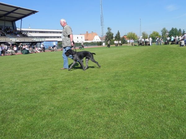 Hegevald 2011 - foto povečava