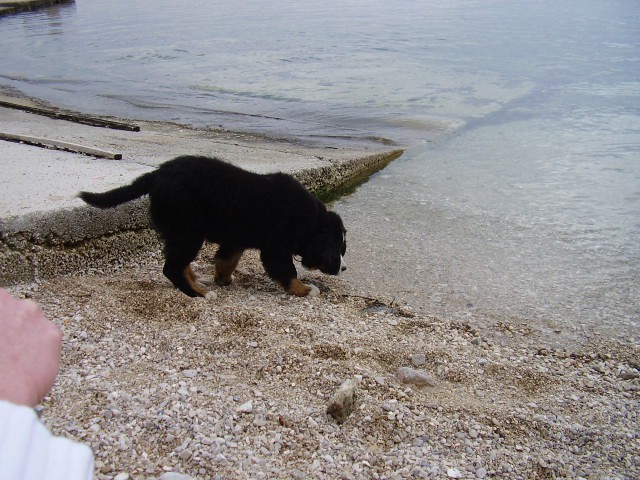 Berni prvič na morje za 1.maj 2006 - foto