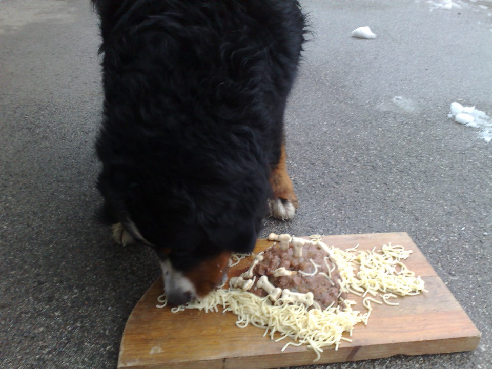 BERNI 3. ROJSTNI DAN - foto povečava
