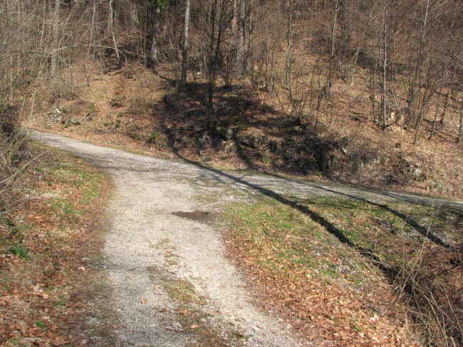 Planina 2007 - foto povečava