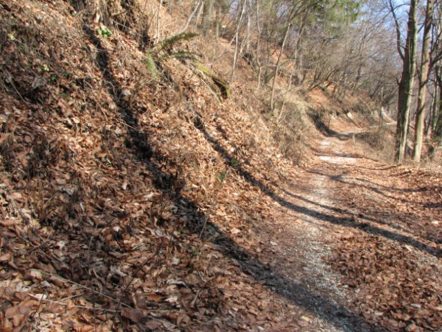 Planina 2007 - foto