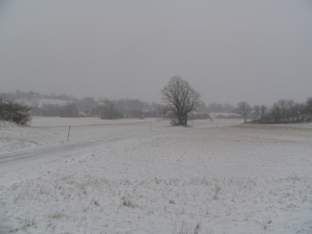 Sneg in Vremščica - foto
