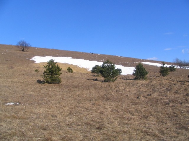 Sneg in Vremščica - foto