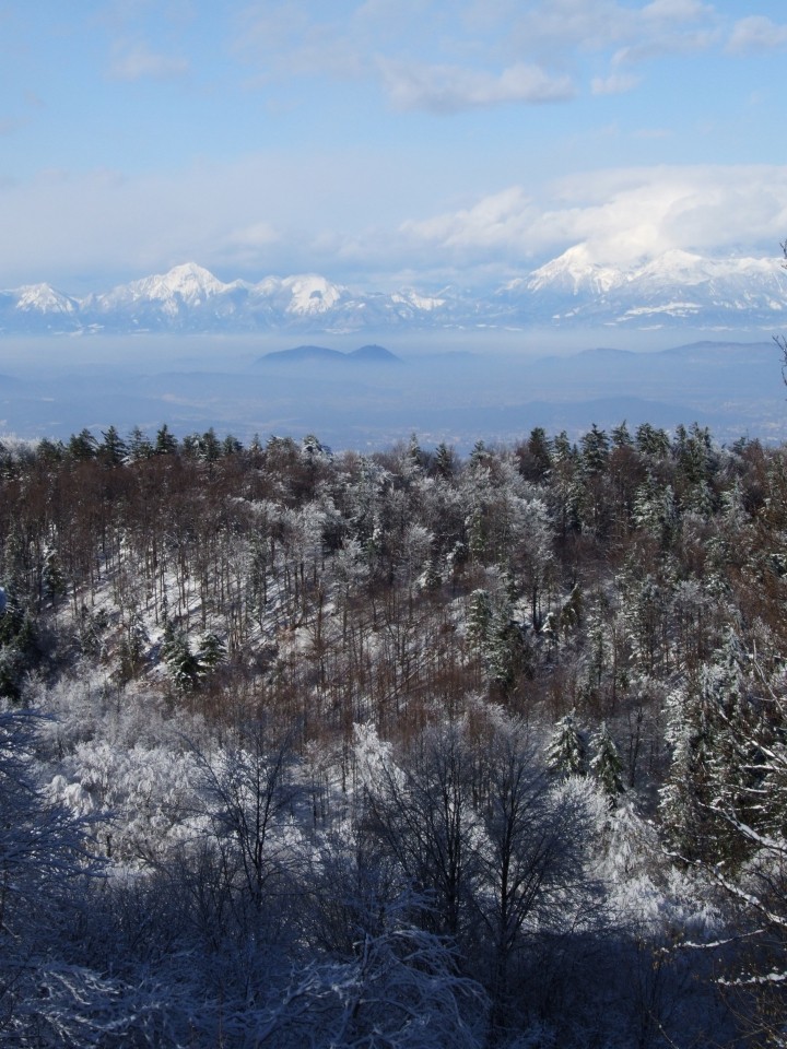 Fotografija - foto povečava