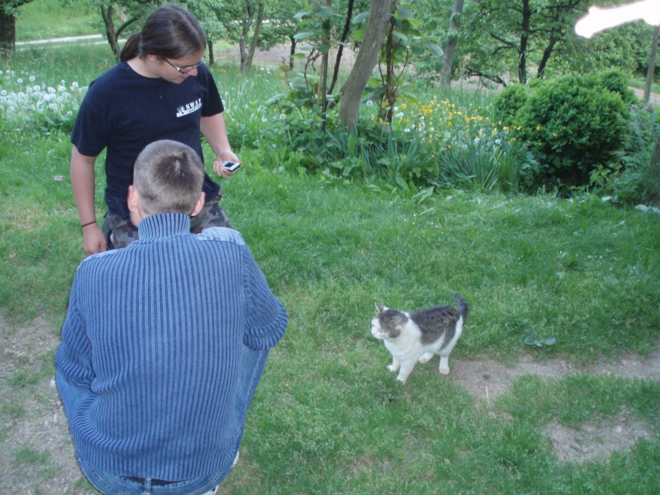 Piknik - foto povečava