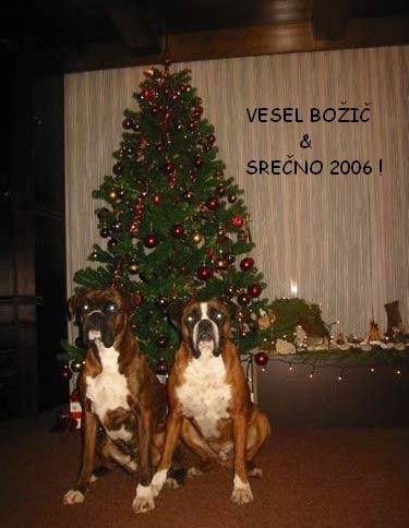 Vesel božič in srečno 2006! - foto
