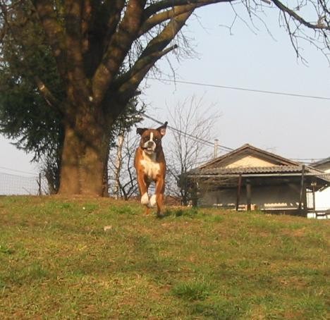 Marec in April 2005 - foto povečava