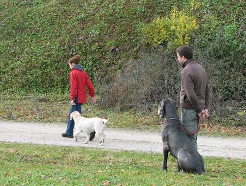 Izpiti: Prečna; 18.11.06 - foto povečava