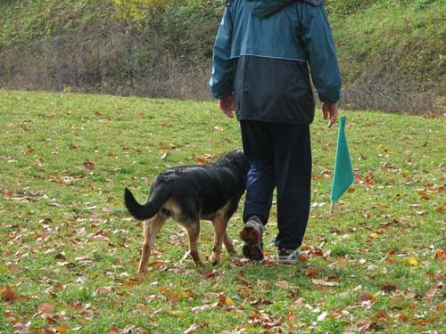 Izpiti: Prečna; 18.11.06 - foto povečava