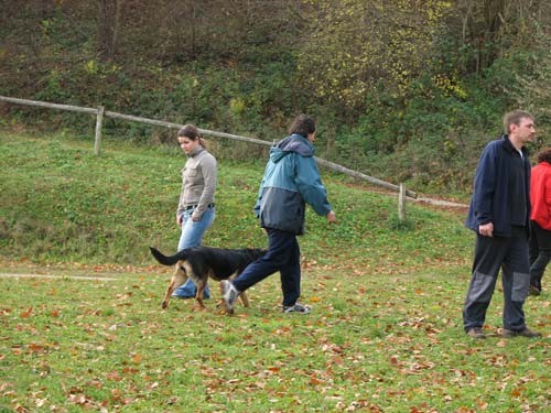 Izpiti: Prečna; 18.11.06 - foto povečava