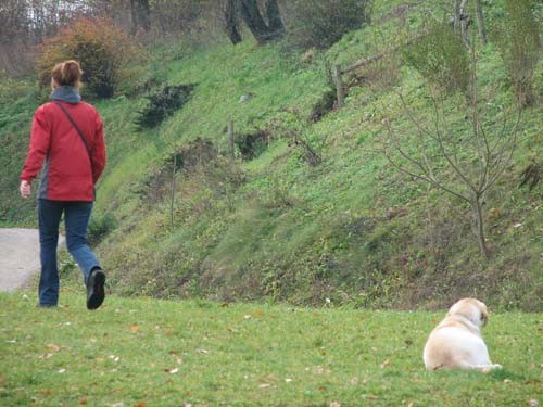 Izpiti: Prečna; 18.11.06 - foto povečava