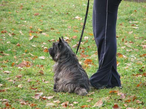 Izpiti: Prečna; 18.11.06 - foto povečava