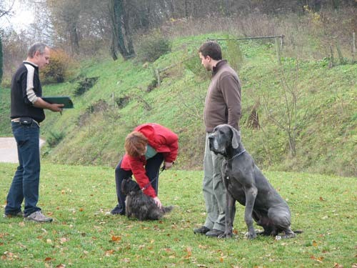 Izpiti: Prečna; 18.11.06 - foto