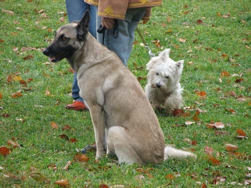 Izpiti: Prečna; 18.11.06 - foto povečava