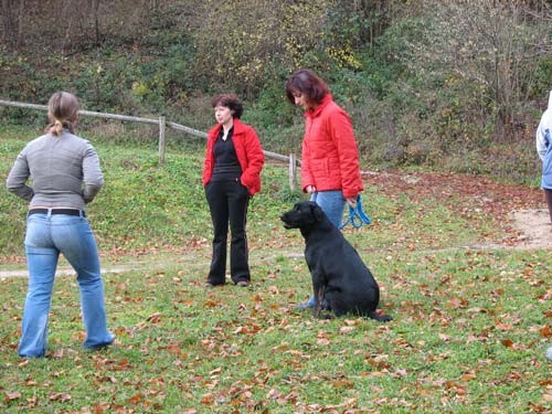 Izpiti: Prečna; 18.11.06 - foto povečava