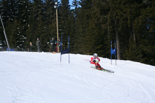 Dpsš rogla - foto