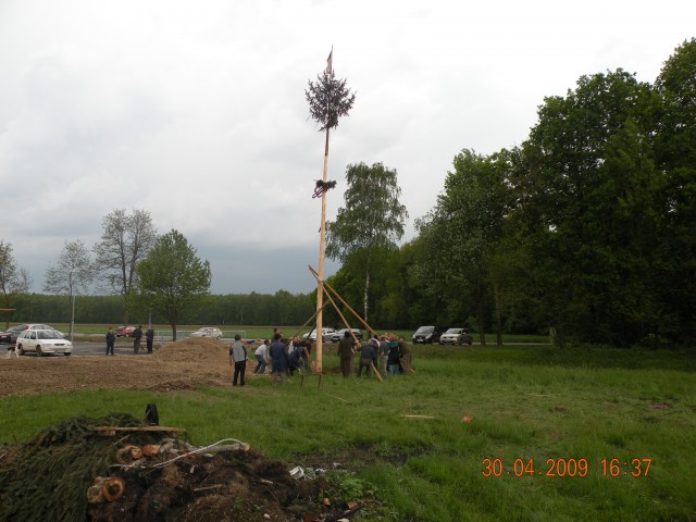 Majsko drevo ld Rače 09 - foto