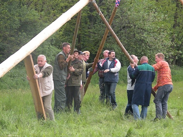 Majsko drevo ld Rače 09 - foto