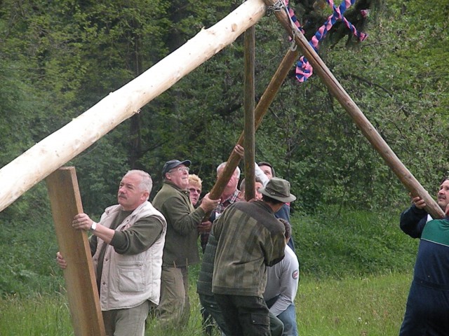 Majsko drevo ld Rače 09 - foto