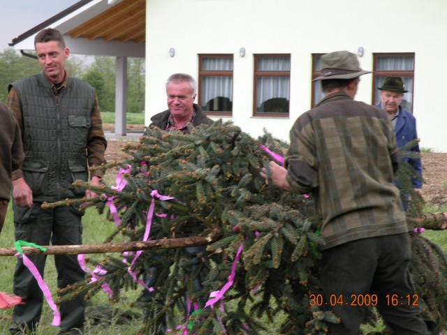 Majsko drevo ld Rače 09 - foto