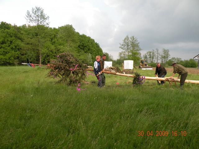 Majsko drevo ld Rače 09 - foto