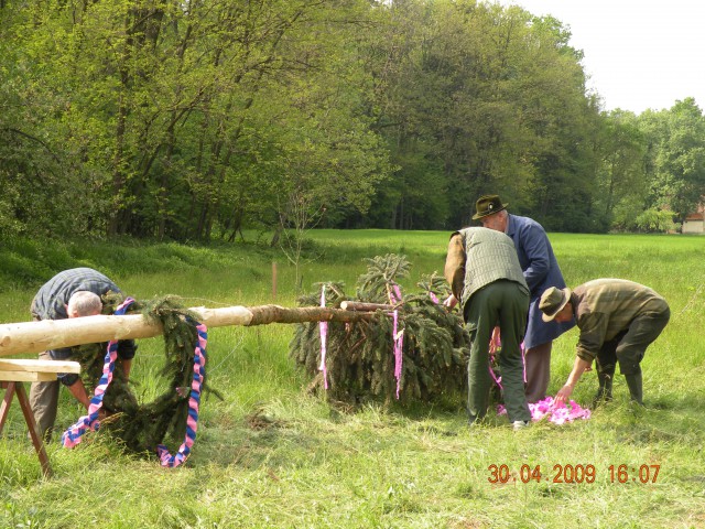 Majsko drevo ld Rače 09 - foto