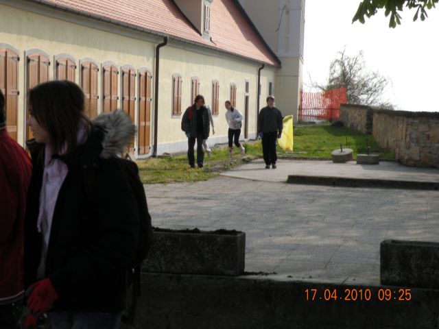 Očistimo slovenijo-OŠ olge Meglič Ptuj - foto