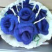 šopek modrih vrtnic