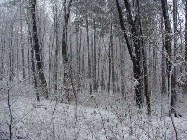 Mešano - foto