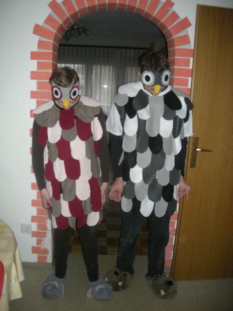 Filc - foto