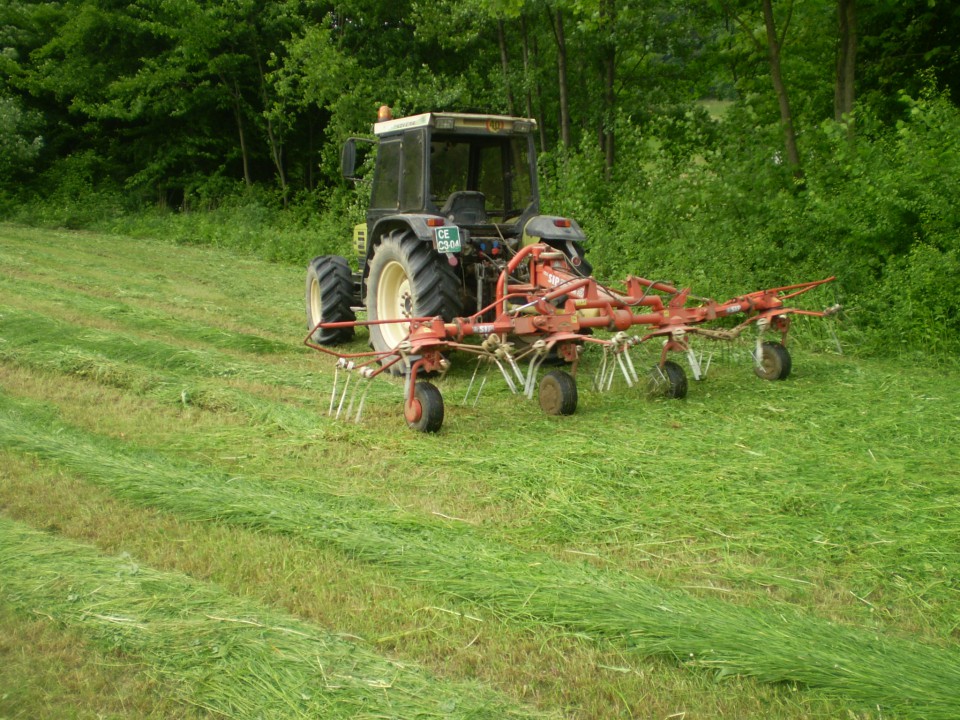 1.košnja 2009 - foto povečava