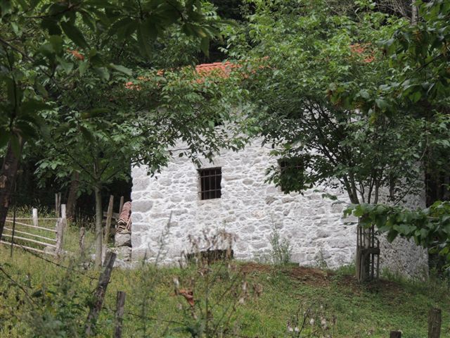 Pohod gorenji log 23.9.2012 - foto povečava