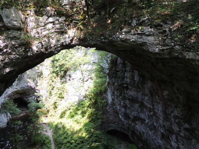 Srečanje v Cerknici 15.6.2013 - foto povečava