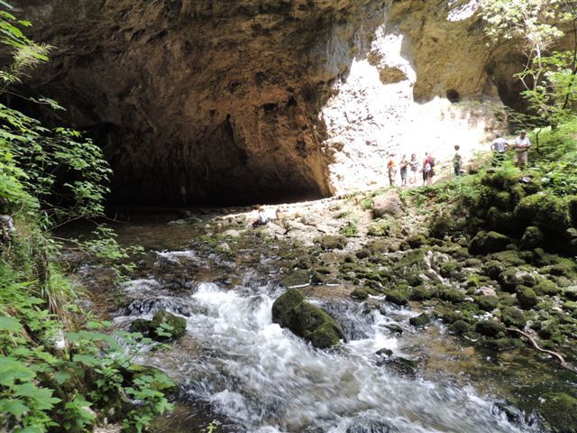 Srečanje v Cerknici 15.6.2013 - foto povečava