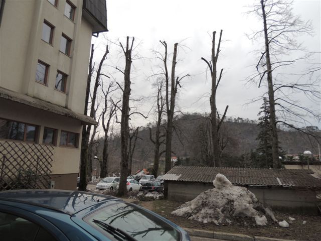 Skupščina Postojna 15.2.2014 - foto