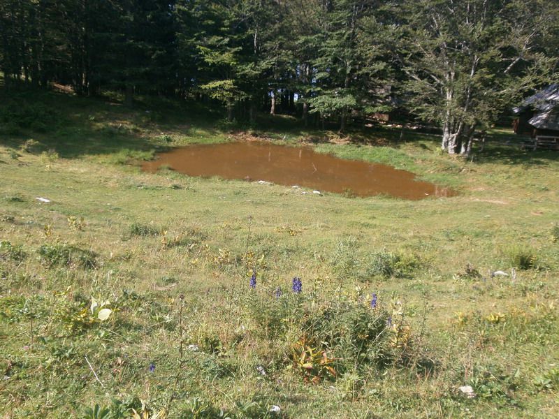 Izlet na veliko planino - foto povečava