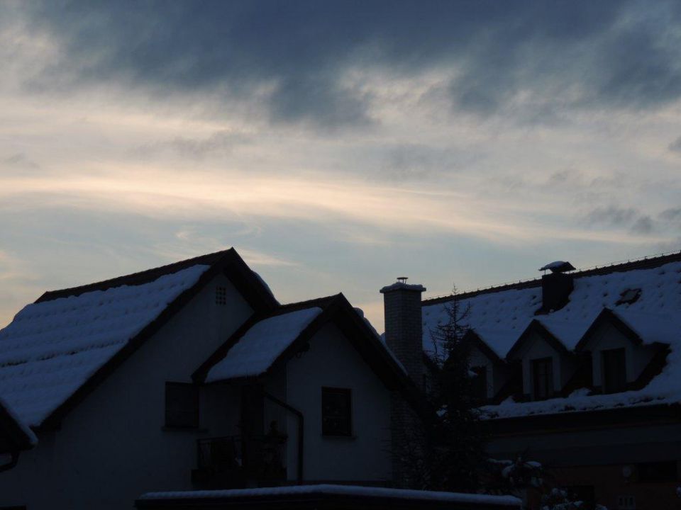 Skupščina Vrhnika 31.1.2015 - foto povečava