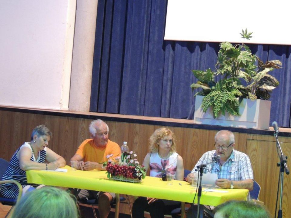 Skupščina Ajdovščina - Vipava 6.6.2015 - foto povečava