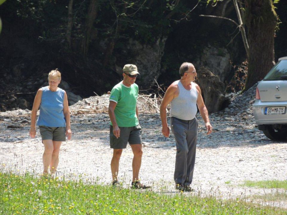 Piknik koritnica 19.7.2015 - foto povečava