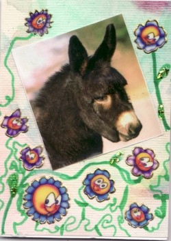 Istrian donkey