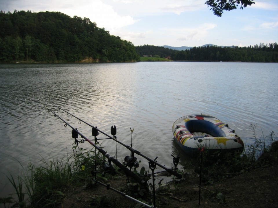 šmartinsko jezero 2009 - foto povečava