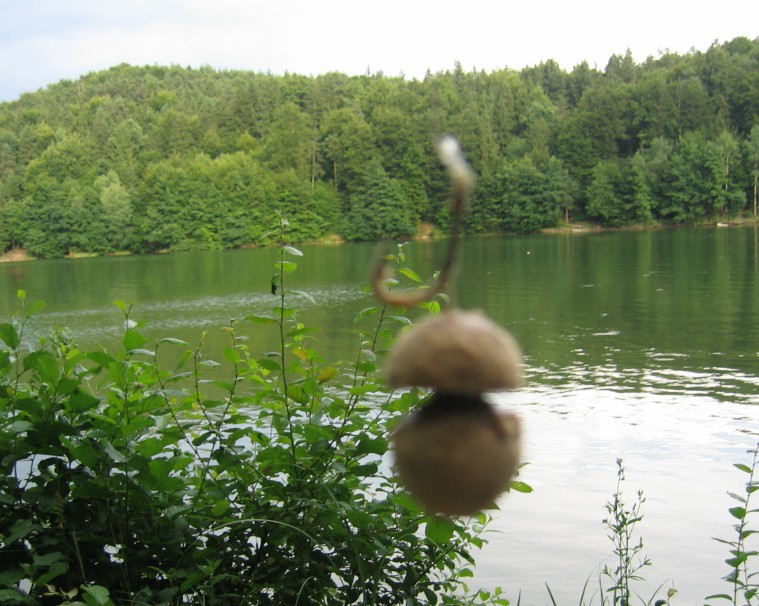 šmartinsko jezero 2009 - foto povečava