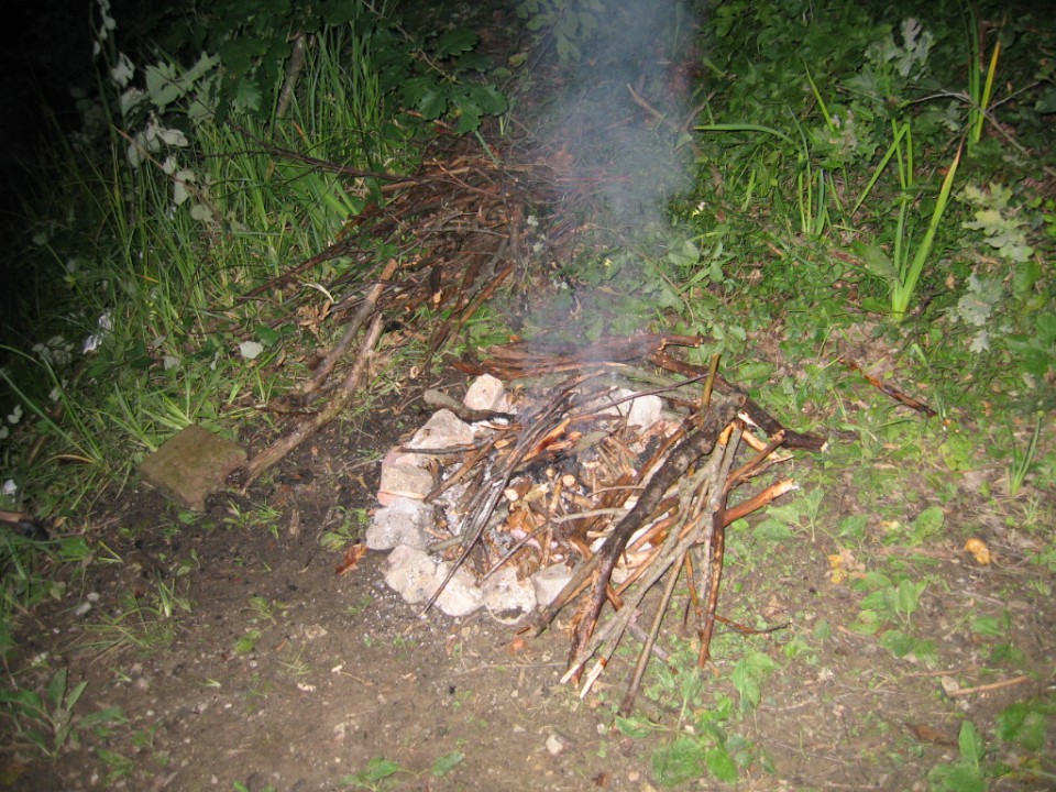 šmartinsko jezero 2009 - foto povečava