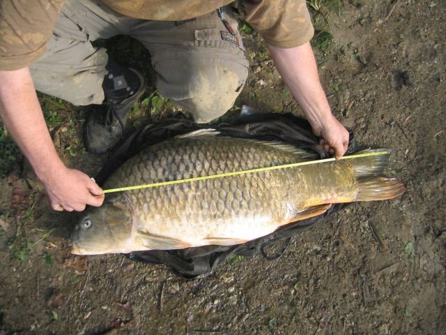 šmartinsko jezero 2009 - foto