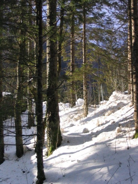 Izlet v naravo - foto povečava