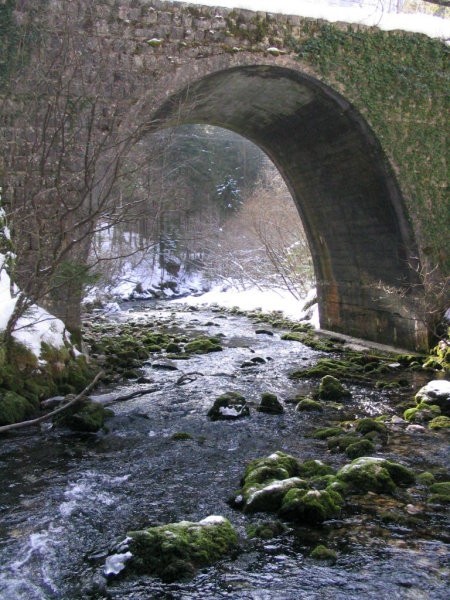 Izlet v naravo - foto povečava