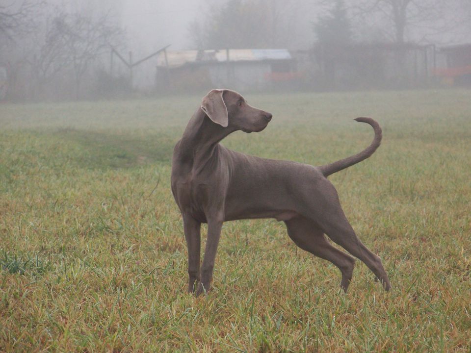 Valentina - foto povečava