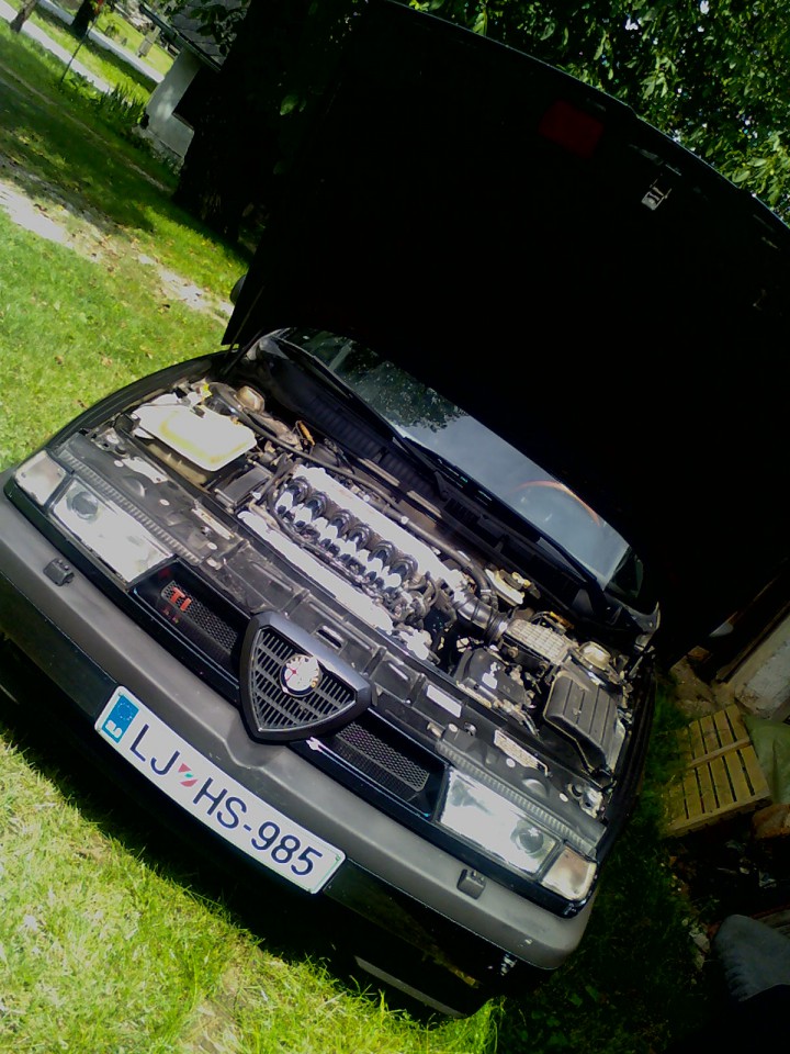 Alfica - foto povečava