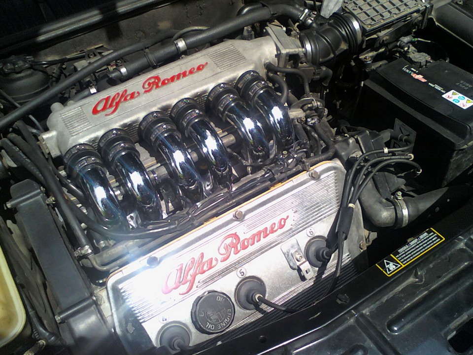 Alfica - foto povečava