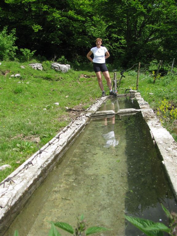 PLANINA MEDRJE - foto povečava